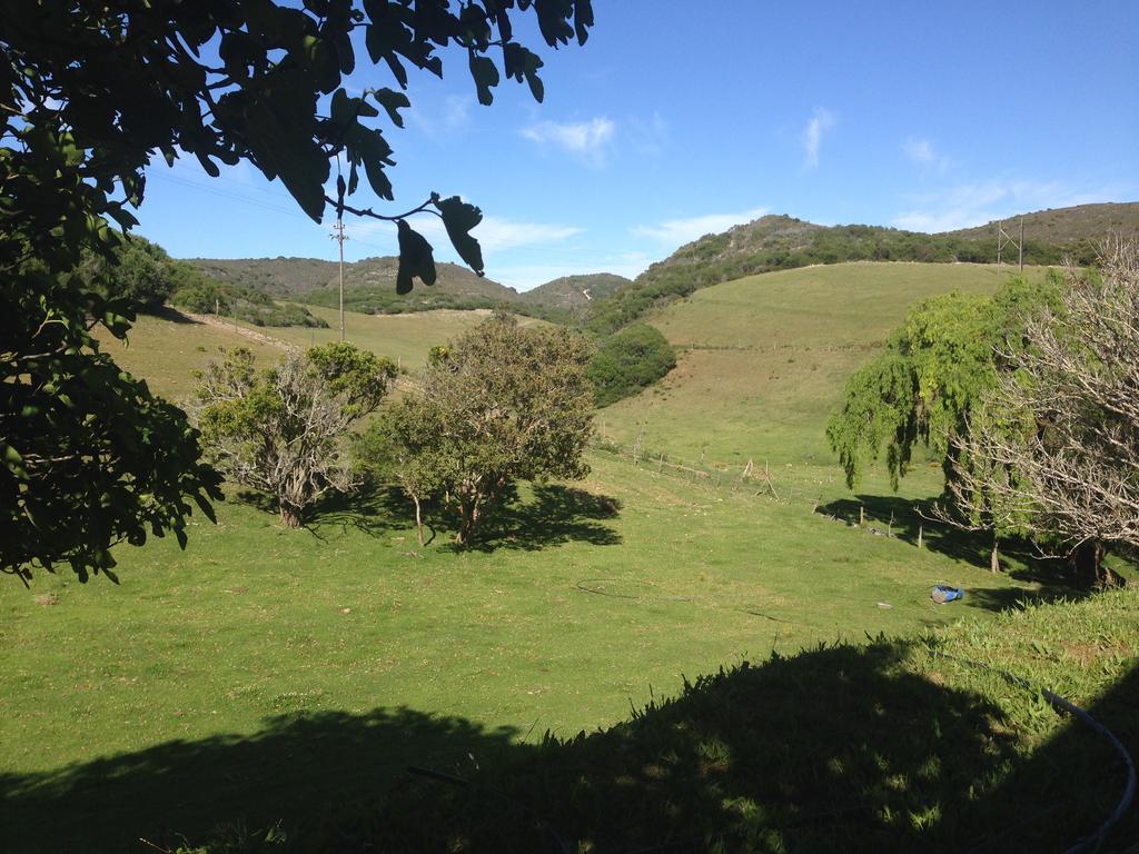 Waterryk Eco Guest Farm Stilbaai Exterior foto