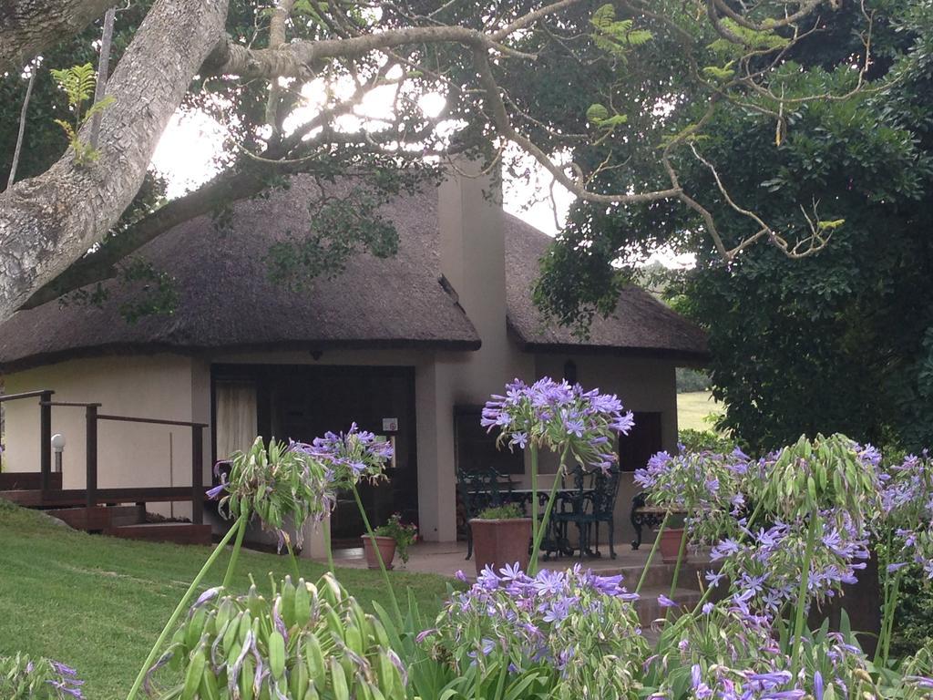 Waterryk Eco Guest Farm Stilbaai Exterior foto